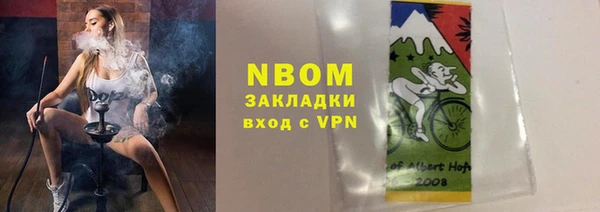 PSILOCYBIN Алзамай