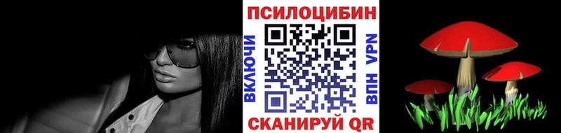 Галлюциногенные грибы Psilocybe  где купить   Куровское 
