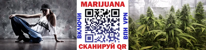 Конопля SATIVA & INDICA  Куровское 